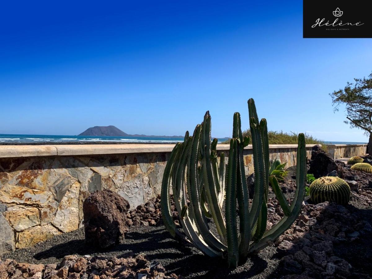 Estudio con vistas al mar
