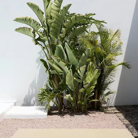 Casa Montelongo - Adults Only-2